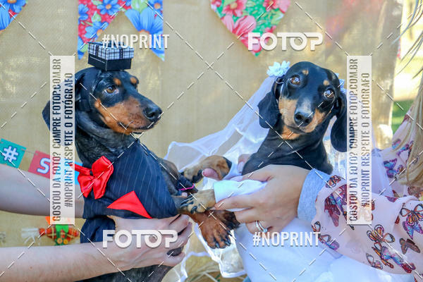 Buy your photos of the eventCo Joo - Festa Julina do Clube dos Salsichanos Ribeiro Preto on Fotop