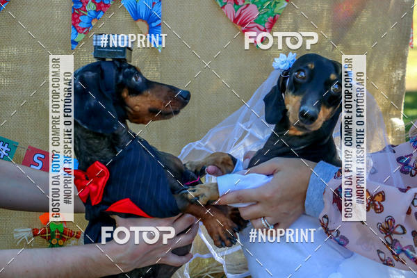 Buy your photos of the eventCo Joo - Festa Julina do Clube dos Salsichanos Ribeiro Preto on Fotop