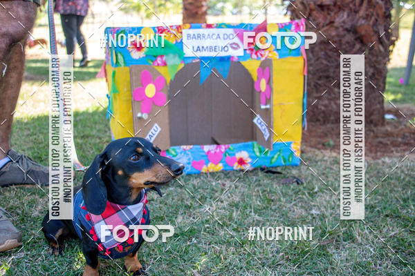 Buy your photos of the eventCo Joo - Festa Julina do Clube dos Salsichanos Ribeiro Preto on Fotop