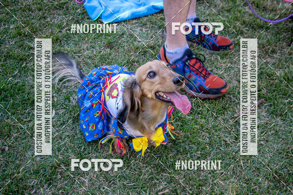 Achetez vos photos de l'vnementCo Joo - Festa Julina do Clube dos Salsichanos Ribeiro Preto sur Fotop