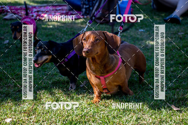 Achetez vos photos de l'vnementCo Joo - Festa Julina do Clube dos Salsichanos Ribeiro Preto sur Fotop