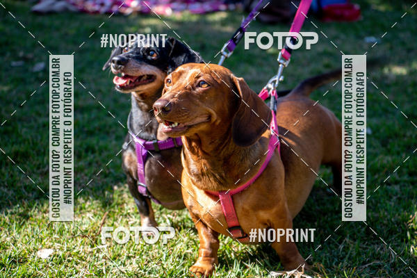 Achetez vos photos de l'vnementCo Joo - Festa Julina do Clube dos Salsichanos Ribeiro Preto sur Fotop