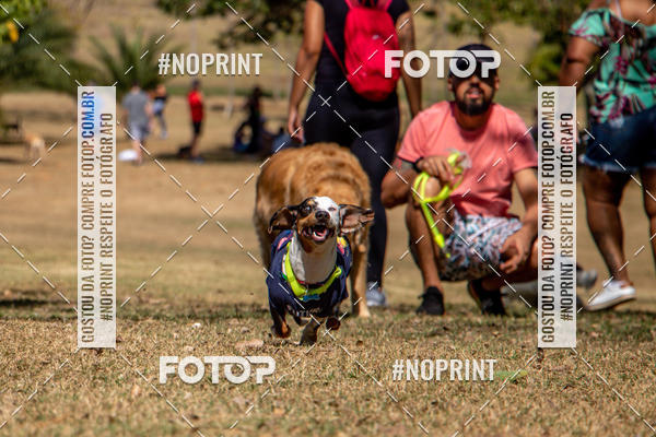 Achetez vos photos de l'vnementCo Joo - Festa Julina do Clube dos Salsichanos Ribeiro Preto sur Fotop