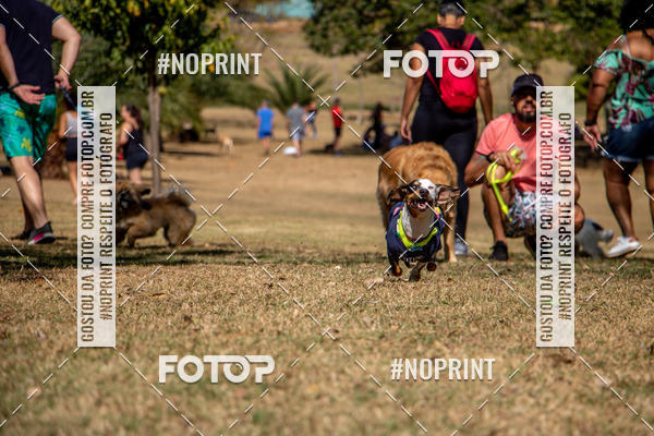 Achetez vos photos de l'vnementCo Joo - Festa Julina do Clube dos Salsichanos Ribeiro Preto sur Fotop