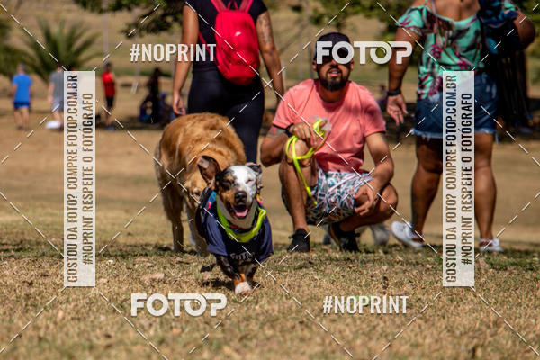 Achetez vos photos de l'vnementCo Joo - Festa Julina do Clube dos Salsichanos Ribeiro Preto sur Fotop