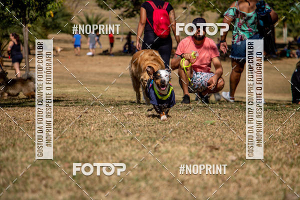 Achetez vos photos de l'vnementCo Joo - Festa Julina do Clube dos Salsichanos Ribeiro Preto sur Fotop