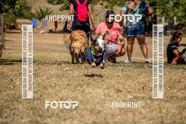 Achetez vos photos de l'vnementCo Joo - Festa Julina do Clube dos Salsichanos Ribeiro Preto sur Fotop