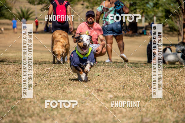 Achetez vos photos de l'vnementCo Joo - Festa Julina do Clube dos Salsichanos Ribeiro Preto sur Fotop