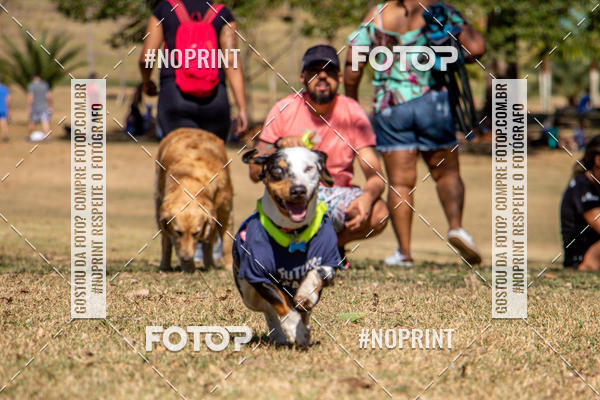 Achetez vos photos de l'vnementCo Joo - Festa Julina do Clube dos Salsichanos Ribeiro Preto sur Fotop