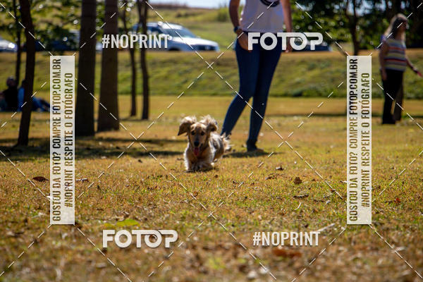 Achetez vos photos de l'vnementCo Joo - Festa Julina do Clube dos Salsichanos Ribeiro Preto sur Fotop