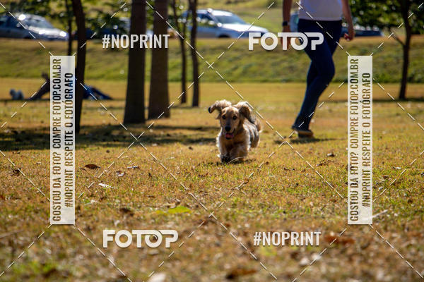 Achetez vos photos de l'vnementCo Joo - Festa Julina do Clube dos Salsichanos Ribeiro Preto sur Fotop