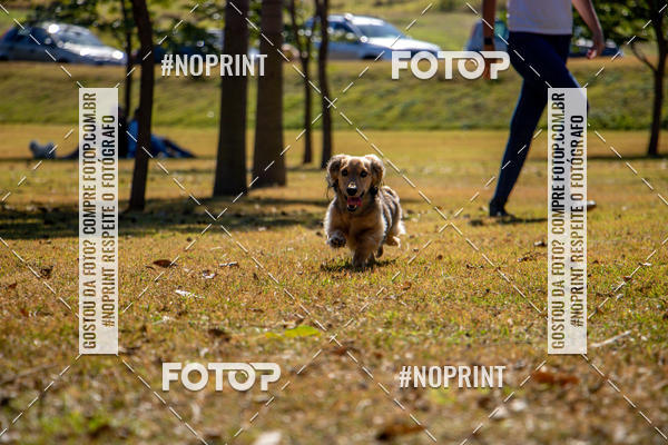 Achetez vos photos de l'vnementCo Joo - Festa Julina do Clube dos Salsichanos Ribeiro Preto sur Fotop