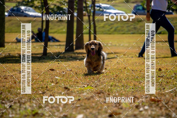 Achetez vos photos de l'vnementCo Joo - Festa Julina do Clube dos Salsichanos Ribeiro Preto sur Fotop