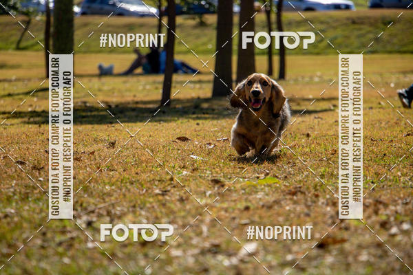 Achetez vos photos de l'vnementCo Joo - Festa Julina do Clube dos Salsichanos Ribeiro Preto sur Fotop