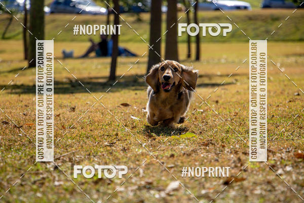 Achetez vos photos de l'vnementCo Joo - Festa Julina do Clube dos Salsichanos Ribeiro Preto sur Fotop