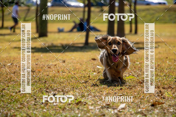 Achetez vos photos de l'vnementCo Joo - Festa Julina do Clube dos Salsichanos Ribeiro Preto sur Fotop