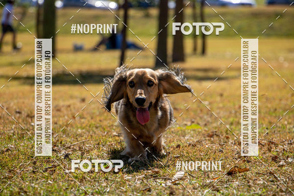 Achetez vos photos de l'vnementCo Joo - Festa Julina do Clube dos Salsichanos Ribeiro Preto sur Fotop