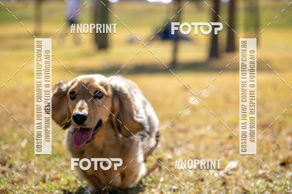 Achetez vos photos de l'vnementCo Joo - Festa Julina do Clube dos Salsichanos Ribeiro Preto sur Fotop