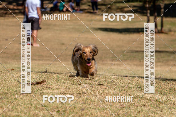 Achetez vos photos de l'vnementCo Joo - Festa Julina do Clube dos Salsichanos Ribeiro Preto sur Fotop