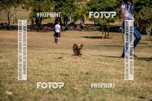 Achetez vos photos de l'vnementCo Joo - Festa Julina do Clube dos Salsichanos Ribeiro Preto sur Fotop