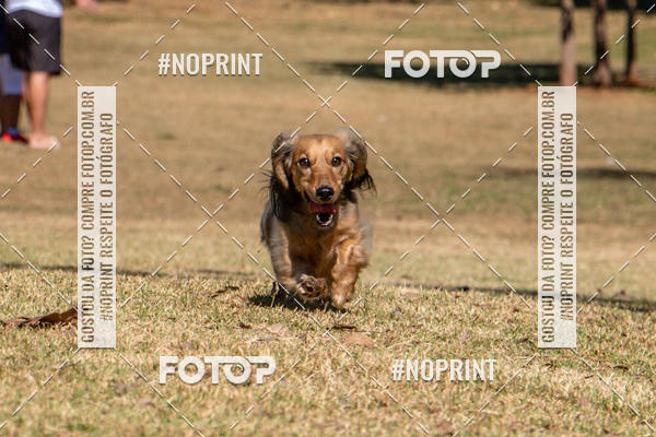 Achetez vos photos de l'vnementCo Joo - Festa Julina do Clube dos Salsichanos Ribeiro Preto sur Fotop