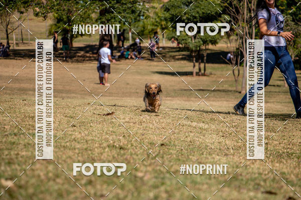 Achetez vos photos de l'vnementCo Joo - Festa Julina do Clube dos Salsichanos Ribeiro Preto sur Fotop