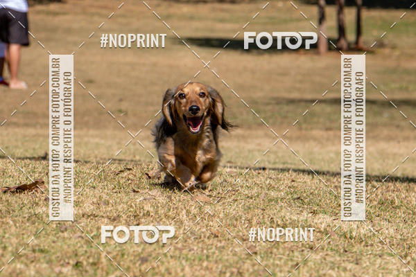 Achetez vos photos de l'vnementCo Joo - Festa Julina do Clube dos Salsichanos Ribeiro Preto sur Fotop