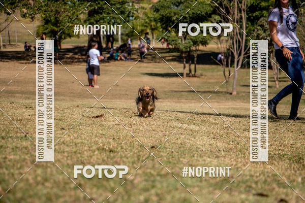 Achetez vos photos de l'vnementCo Joo - Festa Julina do Clube dos Salsichanos Ribeiro Preto sur Fotop