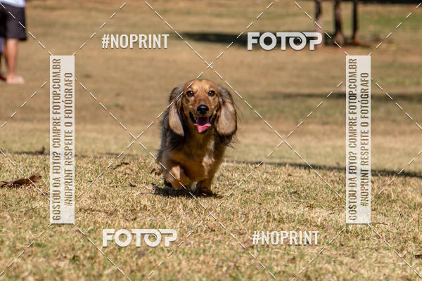 Achetez vos photos de l'vnementCo Joo - Festa Julina do Clube dos Salsichanos Ribeiro Preto sur Fotop