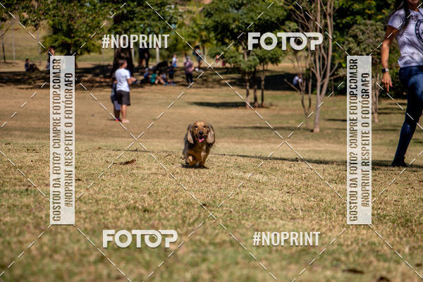 Achetez vos photos de l'vnementCo Joo - Festa Julina do Clube dos Salsichanos Ribeiro Preto sur Fotop