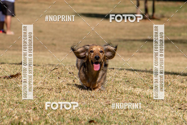 Achetez vos photos de l'vnementCo Joo - Festa Julina do Clube dos Salsichanos Ribeiro Preto sur Fotop