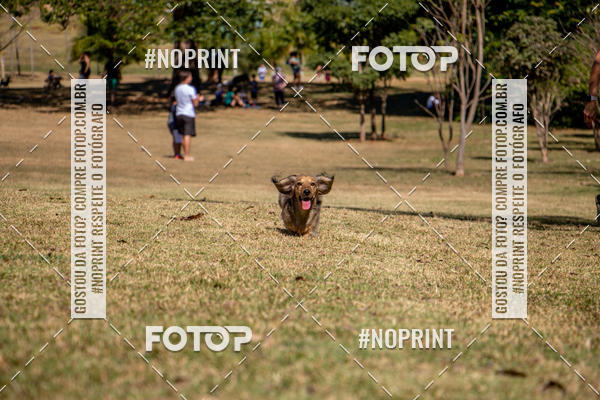 Achetez vos photos de l'vnementCo Joo - Festa Julina do Clube dos Salsichanos Ribeiro Preto sur Fotop