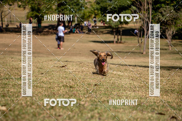 Achetez vos photos de l'vnementCo Joo - Festa Julina do Clube dos Salsichanos Ribeiro Preto sur Fotop