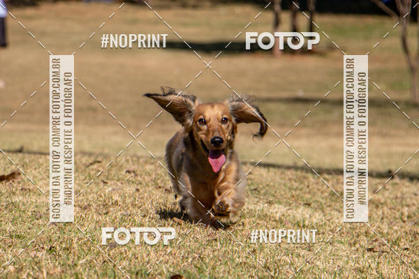 Achetez vos photos de l'vnementCo Joo - Festa Julina do Clube dos Salsichanos Ribeiro Preto sur Fotop