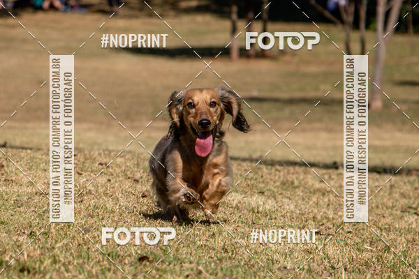 Achetez vos photos de l'vnementCo Joo - Festa Julina do Clube dos Salsichanos Ribeiro Preto sur Fotop