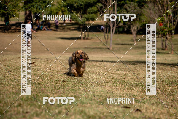 Compre suas fotos do eventoCo Joo - Festa Julina do Clube dos Salsichanos Ribeiro Preto no Fotop