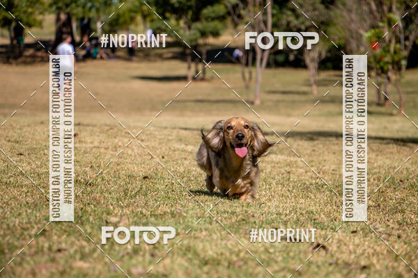 Compre suas fotos do eventoCo Joo - Festa Julina do Clube dos Salsichanos Ribeiro Preto no Fotop