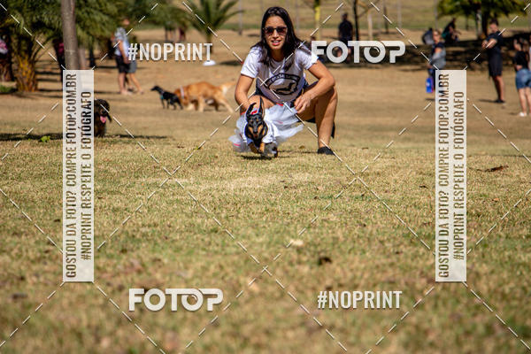 Compre suas fotos do eventoCo Joo - Festa Julina do Clube dos Salsichanos Ribeiro Preto no Fotop