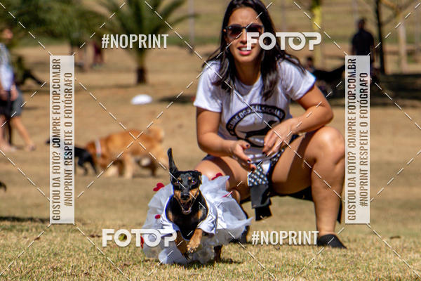 Compre suas fotos do eventoCo Joo - Festa Julina do Clube dos Salsichanos Ribeiro Preto no Fotop