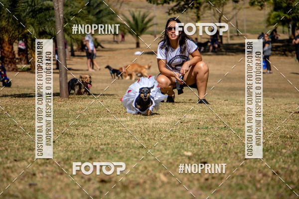 Compre suas fotos do eventoCo Joo - Festa Julina do Clube dos Salsichanos Ribeiro Preto no Fotop