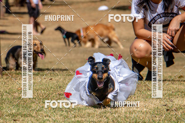 Compre suas fotos do eventoCo Joo - Festa Julina do Clube dos Salsichanos Ribeiro Preto no Fotop