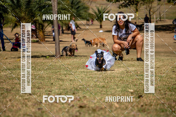 Compre suas fotos do eventoCo Joo - Festa Julina do Clube dos Salsichanos Ribeiro Preto no Fotop