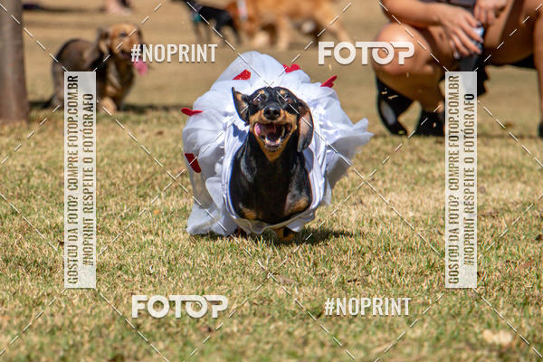 Compre suas fotos do eventoCo Joo - Festa Julina do Clube dos Salsichanos Ribeiro Preto no Fotop