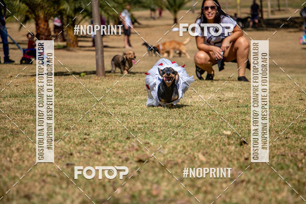 Compre suas fotos do eventoCo Joo - Festa Julina do Clube dos Salsichanos Ribeiro Preto no Fotop