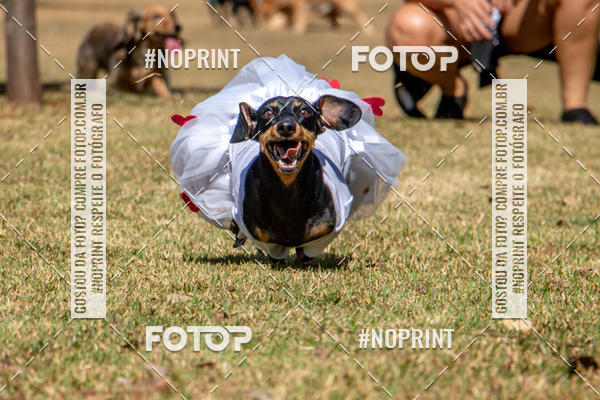 Compre suas fotos do eventoCo Joo - Festa Julina do Clube dos Salsichanos Ribeiro Preto no Fotop