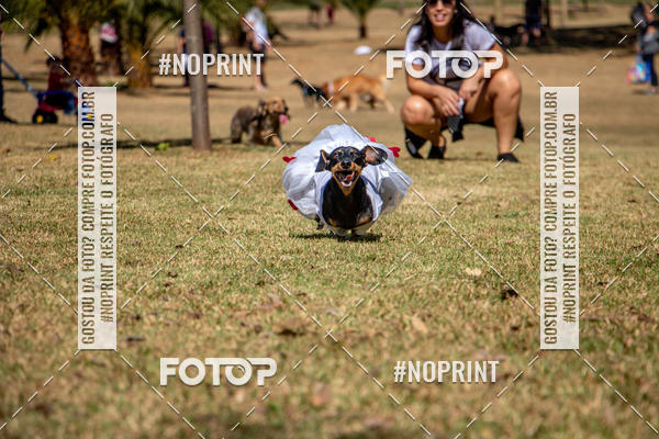 Compre suas fotos do eventoCo Joo - Festa Julina do Clube dos Salsichanos Ribeiro Preto no Fotop