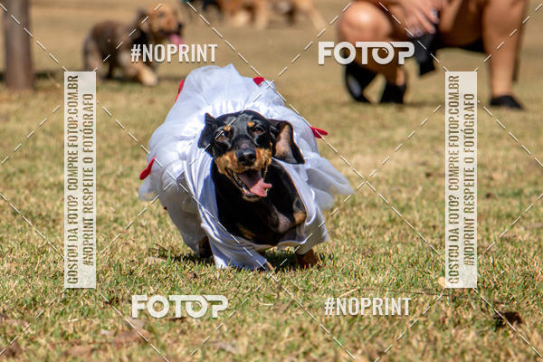 Compre suas fotos do eventoCo Joo - Festa Julina do Clube dos Salsichanos Ribeiro Preto no Fotop