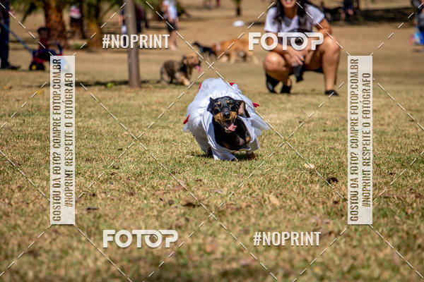 Compre suas fotos do eventoCo Joo - Festa Julina do Clube dos Salsichanos Ribeiro Preto no Fotop