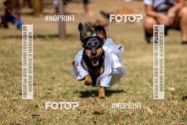 Compre suas fotos do eventoCo Joo - Festa Julina do Clube dos Salsichanos Ribeiro Preto no Fotop