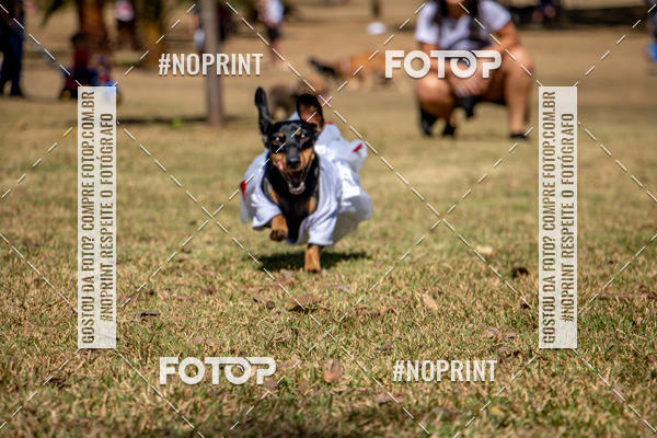 Compre suas fotos do eventoCo Joo - Festa Julina do Clube dos Salsichanos Ribeiro Preto no Fotop